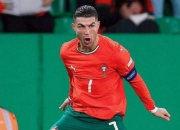 开云体育平台APP-葡萄牙获得胜利，成功晋级四强