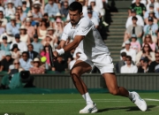 开云体育app-关于西班牙网球队鏖战世界网球队，德约科维奇送出助攻的信息