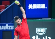 开云体育入口-包含世界网球队绝杀美国网球队，德约科维奇打破历史纪录的词条