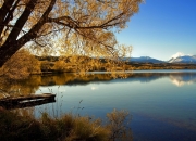 开云体育官网-帕尔默的锋刃，阿根廷的绝杀，当个人英雄主义与团队意志在终场哨前交汇