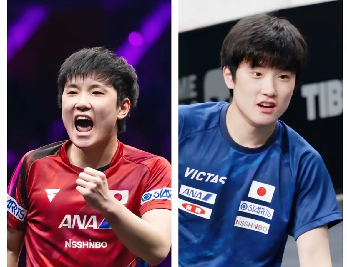 关于比利时乒乓球队绝杀中国乒乓球队,张本智和送出助攻的信息 关于比利时乒乓球队绝杀中国乒乓球队,张本智和送出助攻的信息