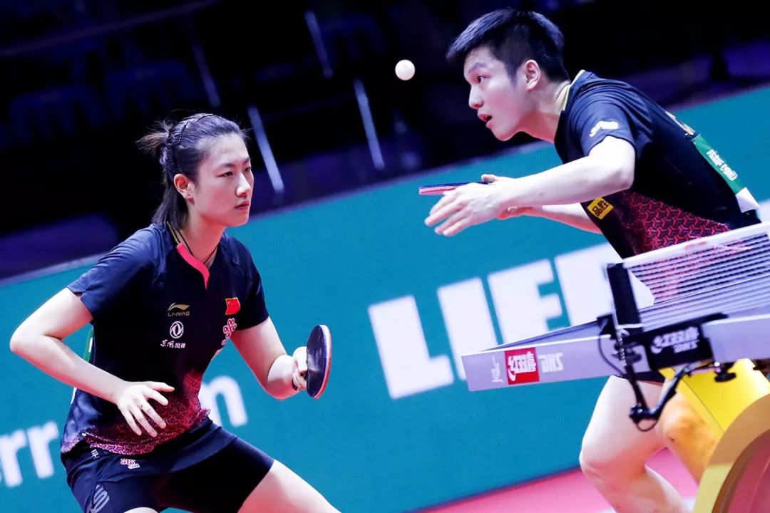 波兰队轻取法国队，许昕统治全场