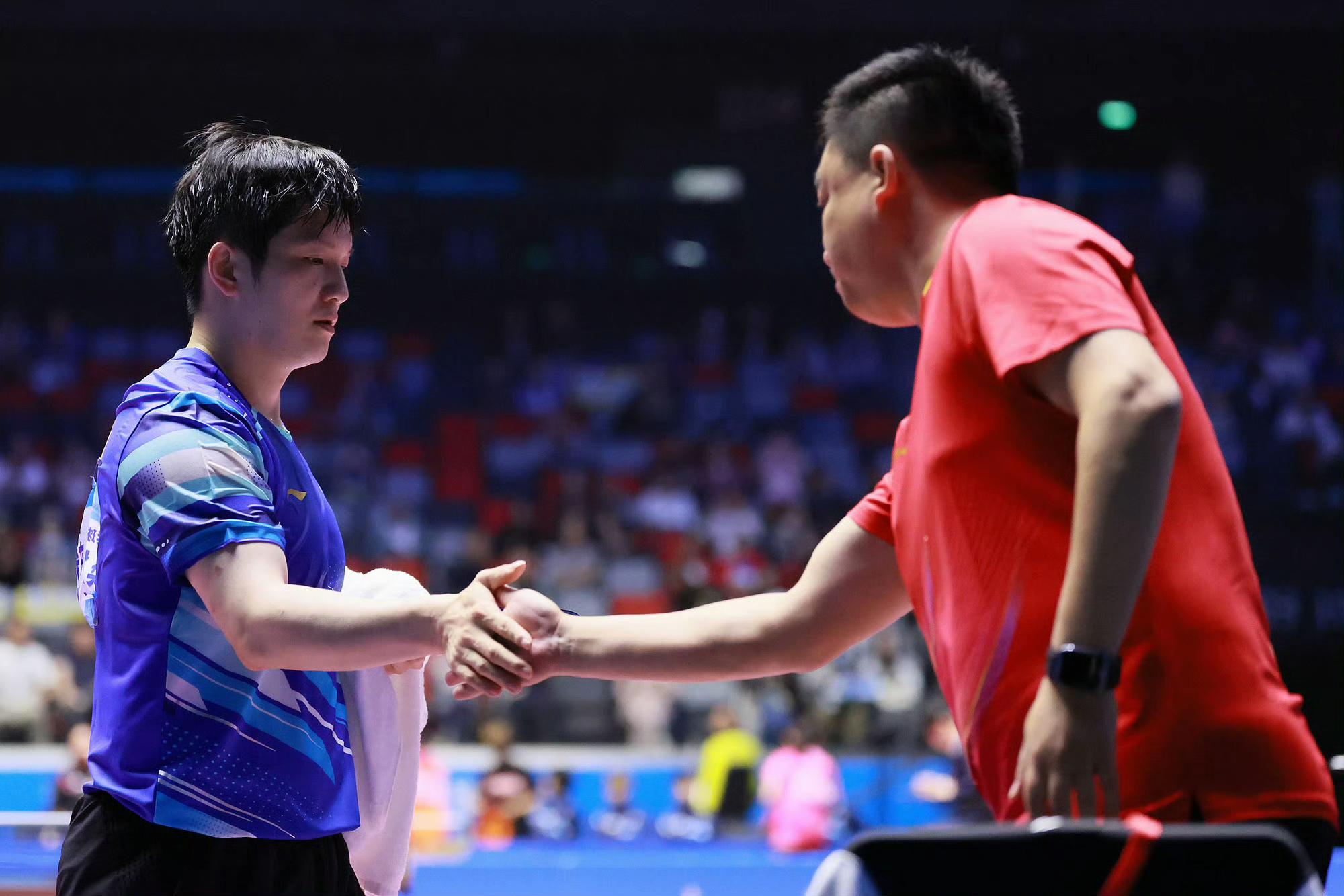 韩国队逆转瑞典队，樊振东状态火热