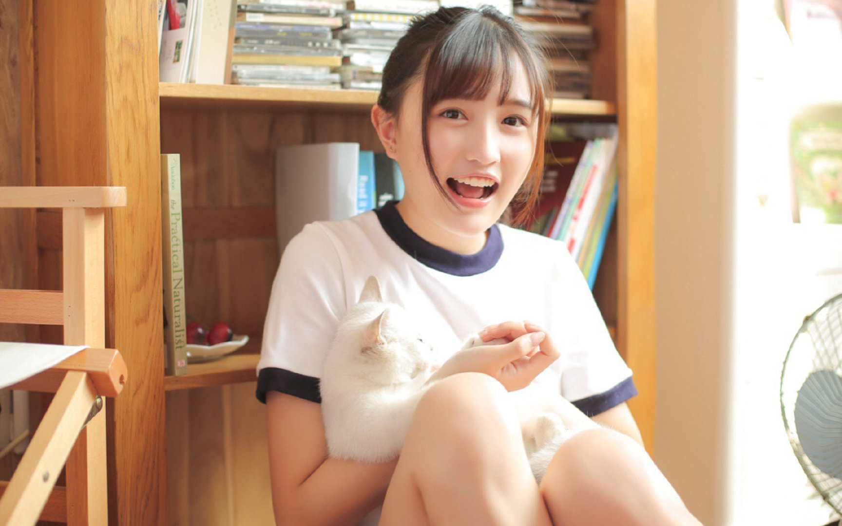 当骑士遇上广厦，2026世界杯焦点战中的篮球预演