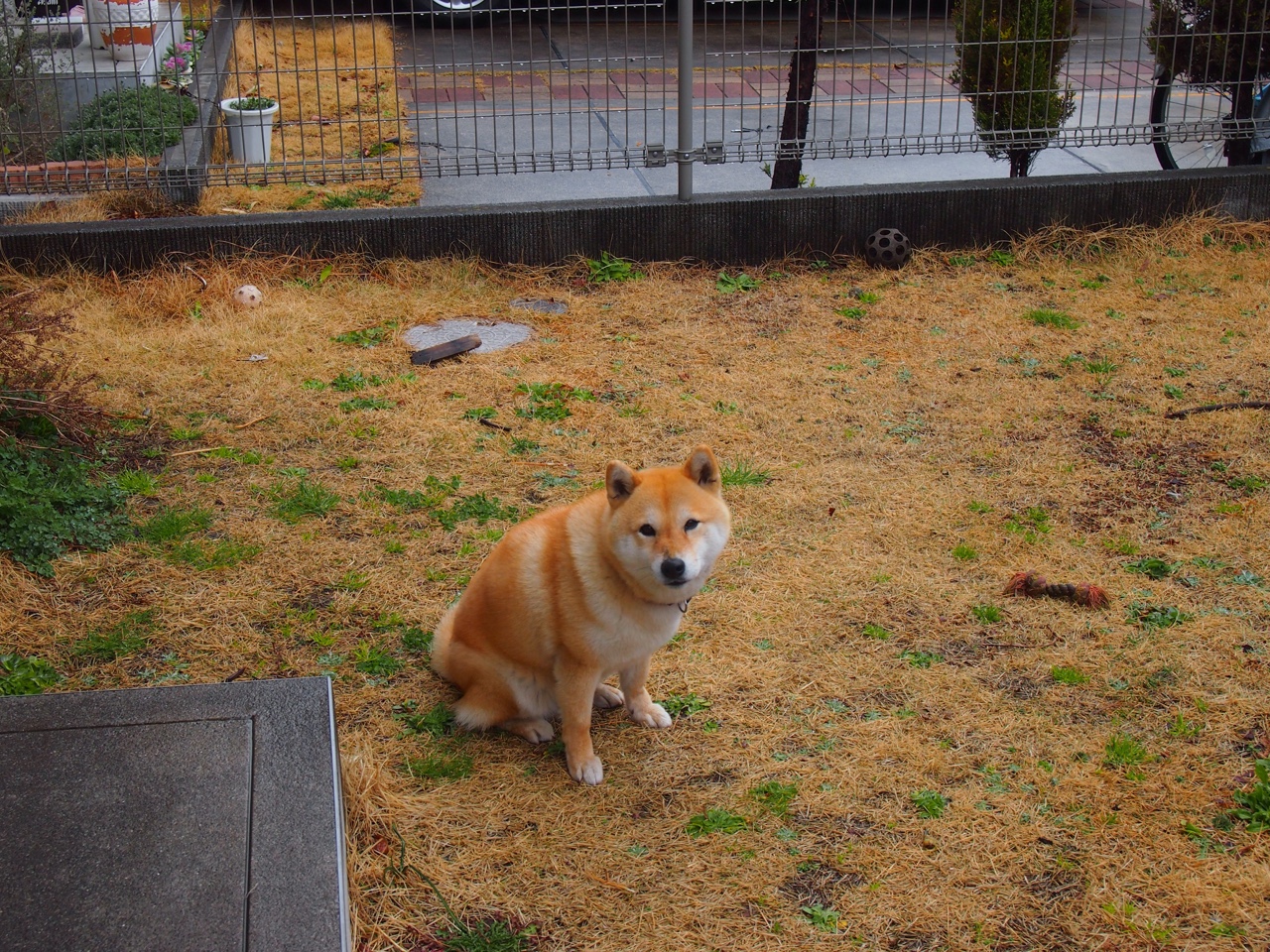 从吉林到费城,莫兰特的世界排名之战与篮球的无国界共鸣